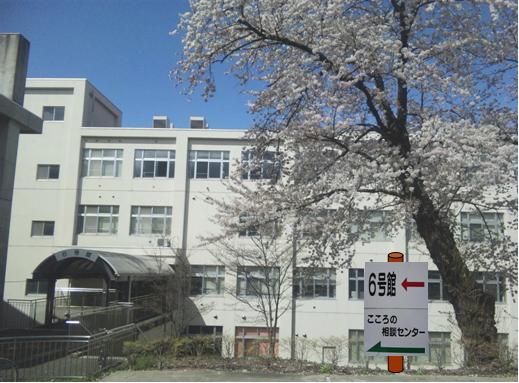 こころの相談センター 岩手大学 人文社会科学部